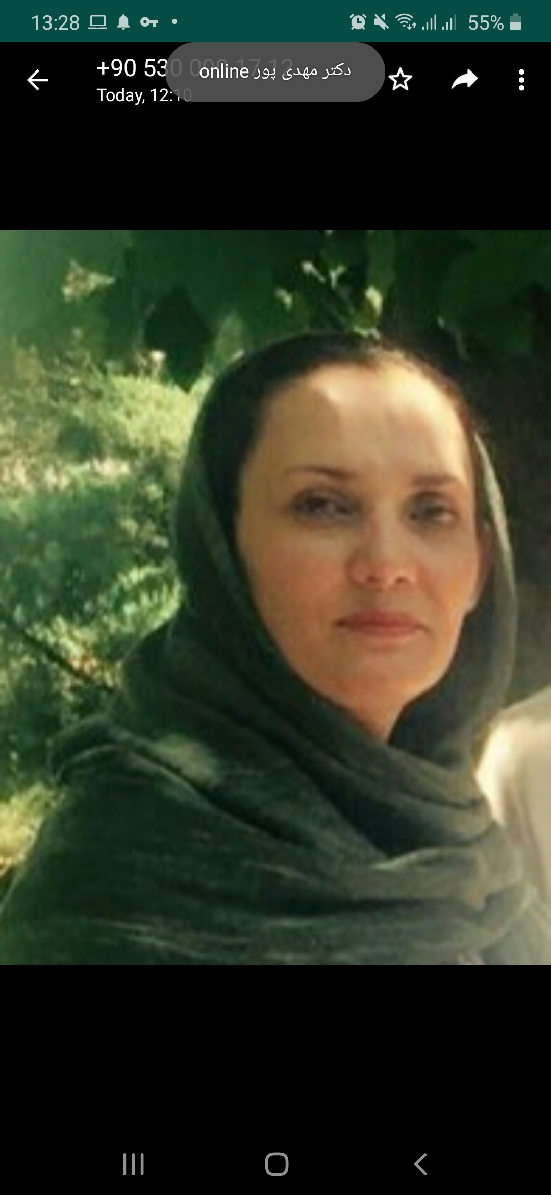ندا نگارستانی