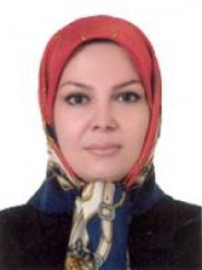 شیلا برنجی