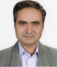 حسین فیروزی