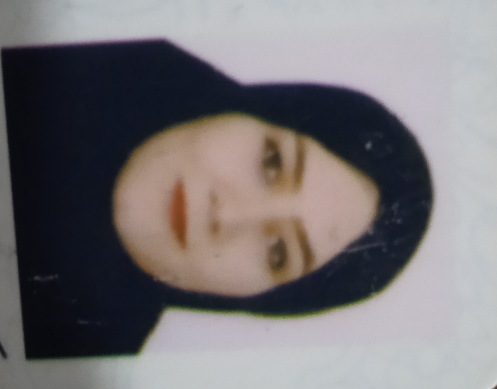شکیبا احمدی
