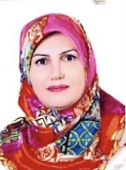 نگین نهان مقدم