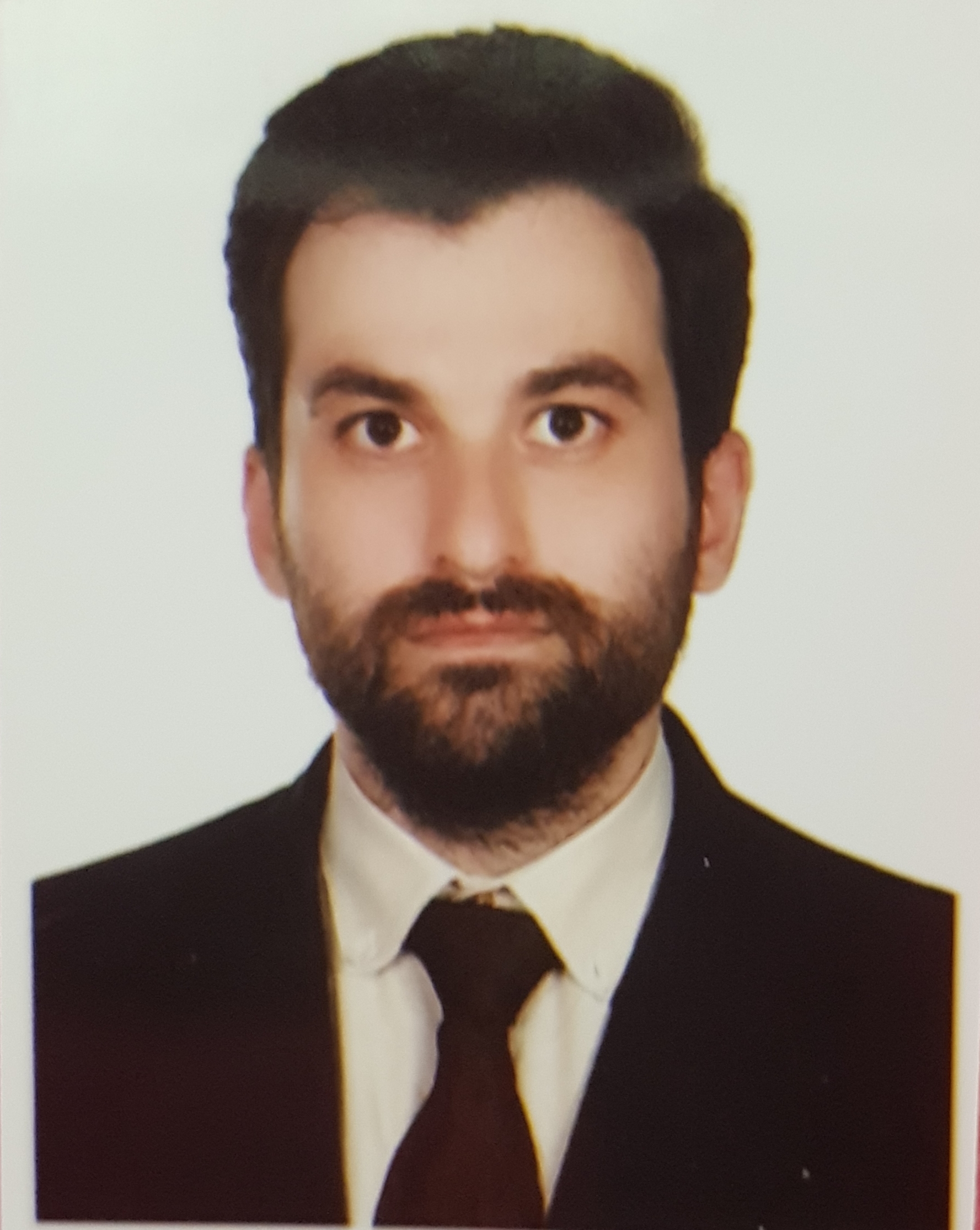 محمد حسین عربی