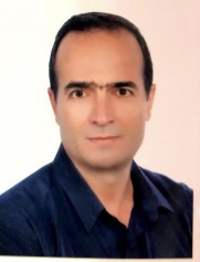ابراهیم رادین نیا